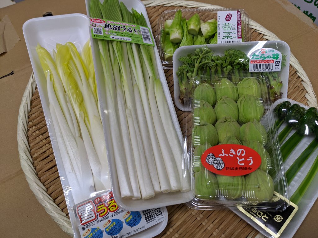 山菜の種類豊富になってきました 株式会社 築地永井商店